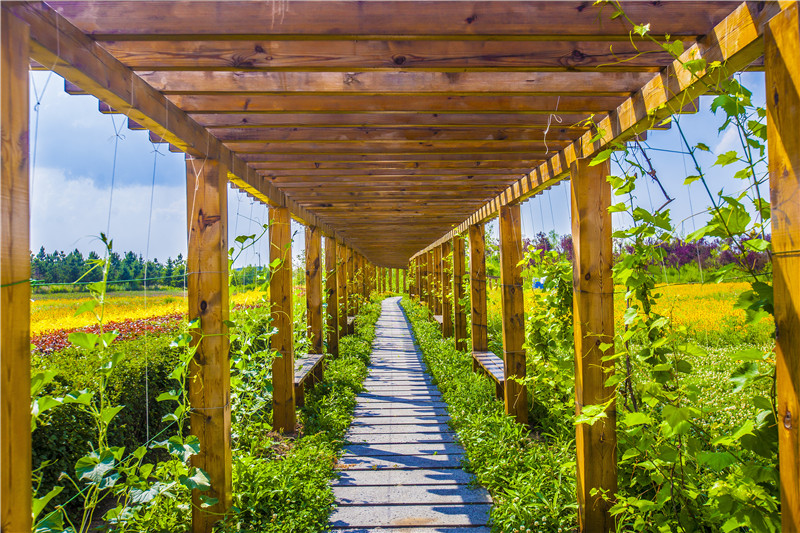 長廊3（長春園區）